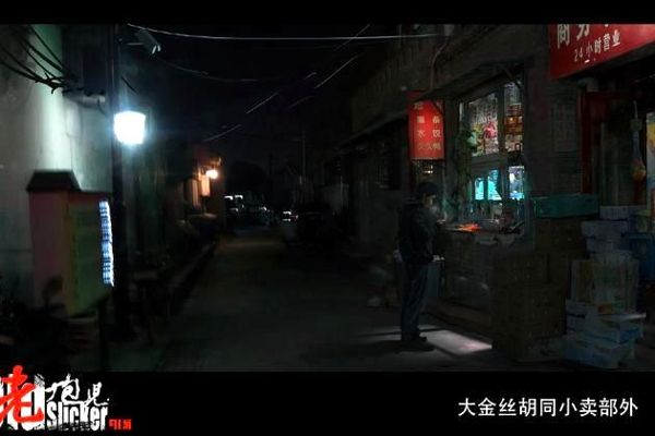 政府牵头，国际合作构建宠物善终服务体系，研究成果推动行业发展